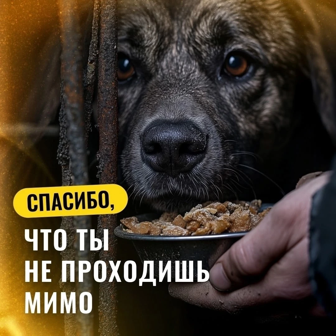 Спасибо, что ты не проходишь мимо!