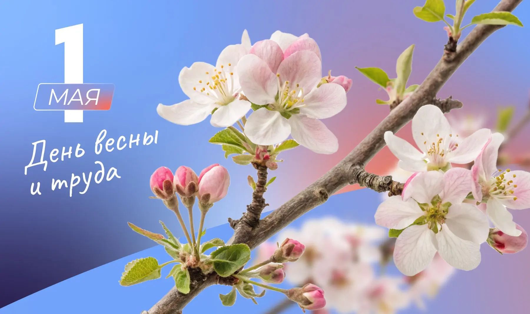 С Первомаем, дорогие односельчане! 🕊️🌿