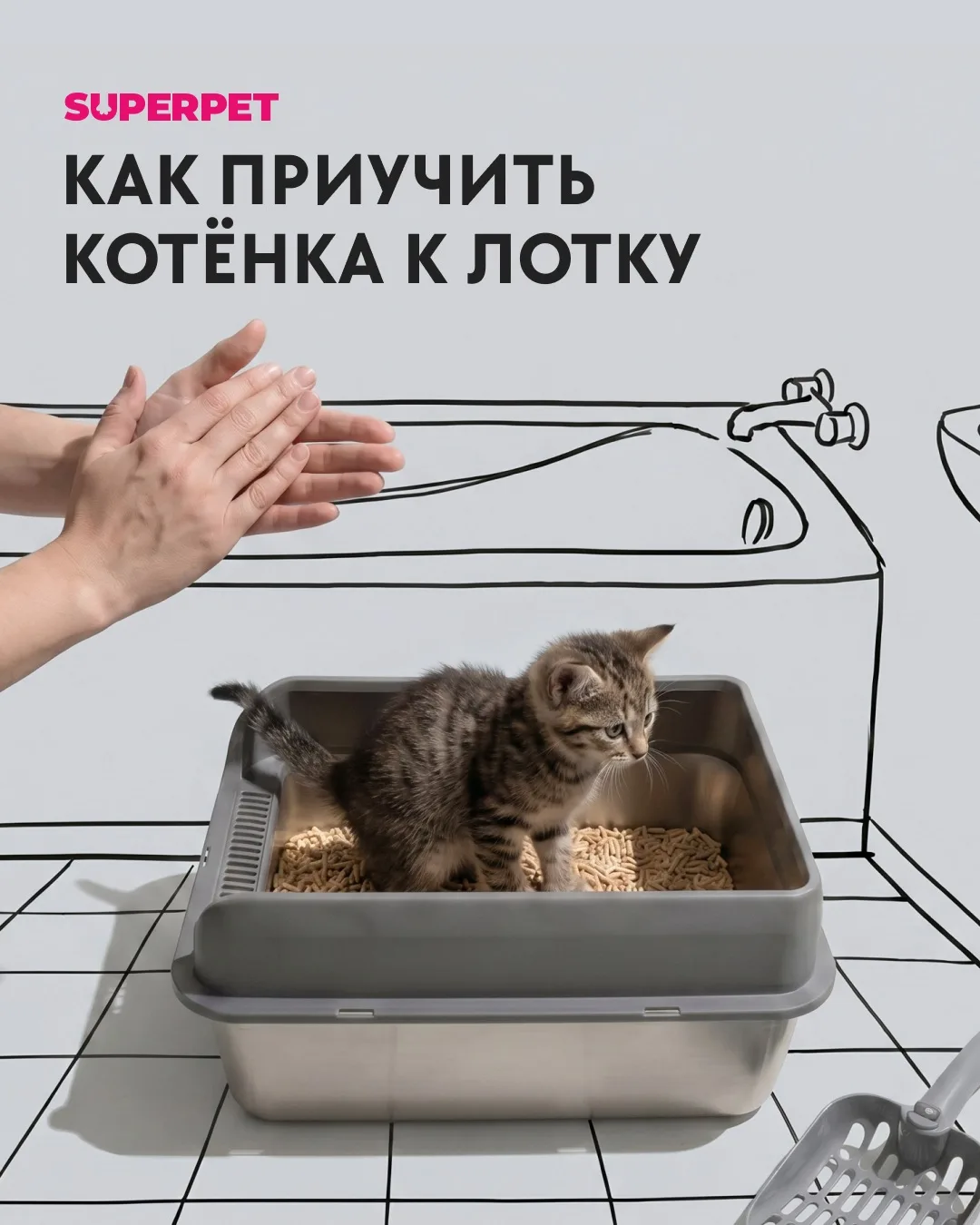 Как приучить котенка к лотку?