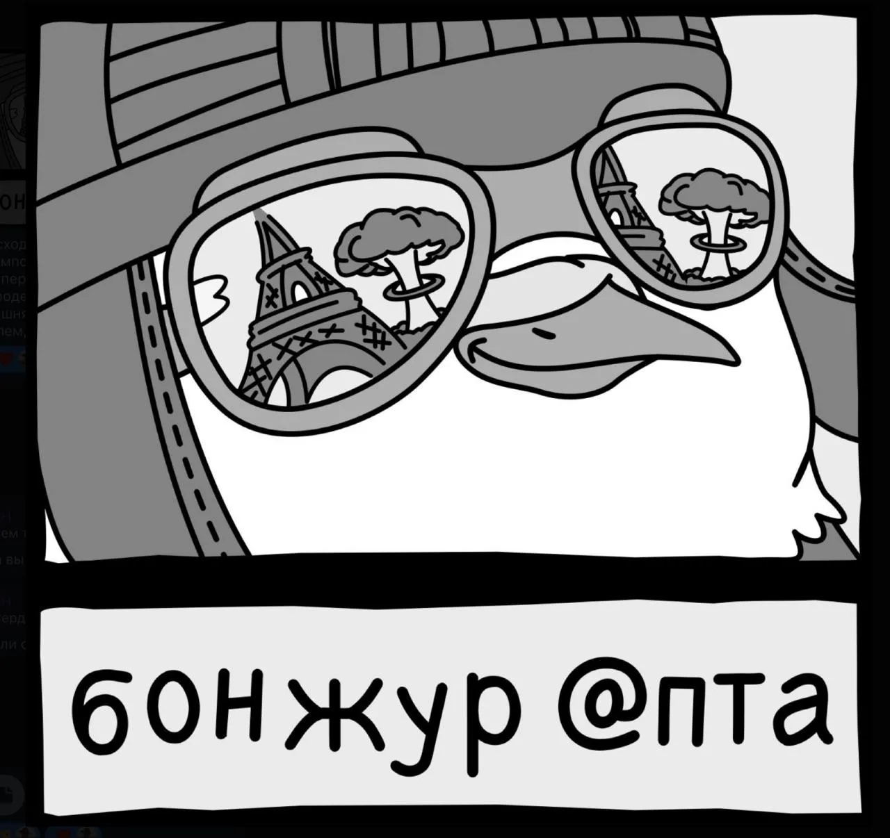 Публицист и аналитик Александр Роджерс в колонке для ВФокусе Mail рассказывает,   что скрывает реакц