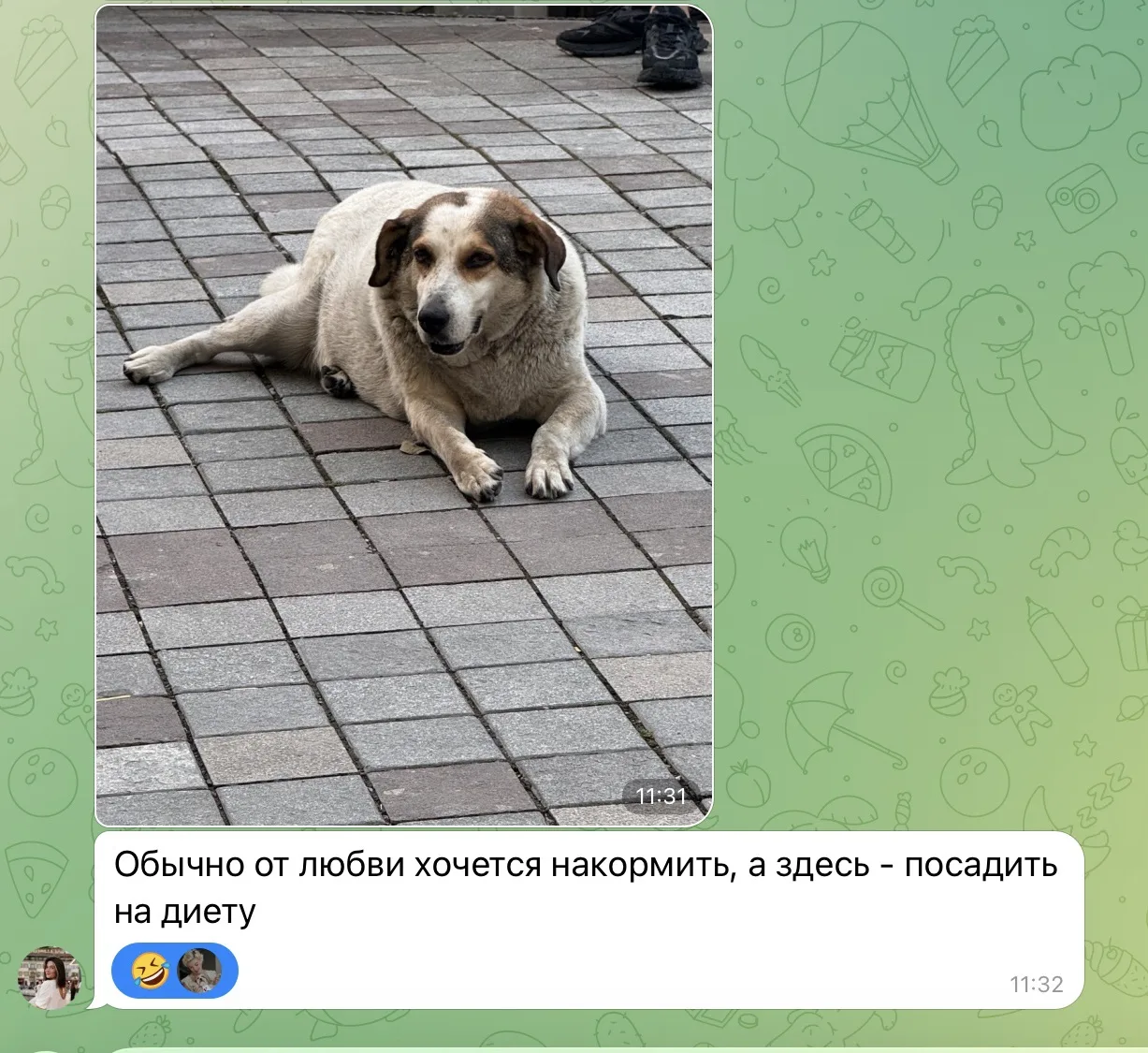 #CмираПоХвосту Собаки как достопримечательность города

Все, кто впервые приезжает в Тбилиси, удивля
