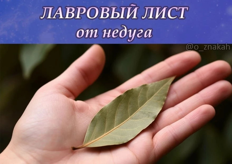 🍃 Заговор на лавровый лист