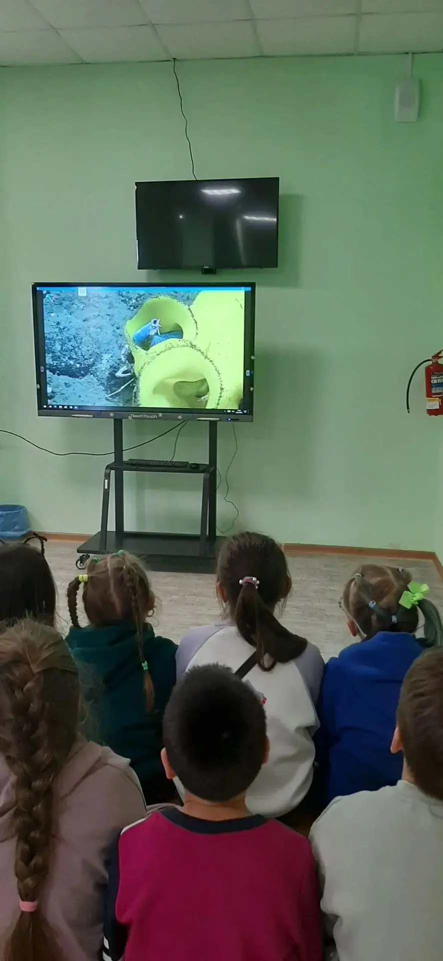✨Загадки Глубин: Как "Мимимишки" и "Позитив" Покоряли Морские Тайны в Летнем Лагере
⁣
🐙В рамках озд