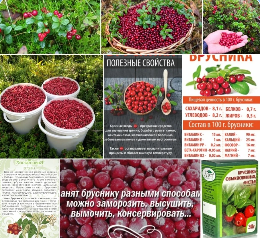 🌺🍓🌺🍓🌺🍓☘🍇☘🍓🌺🍓🌺🍓🌺