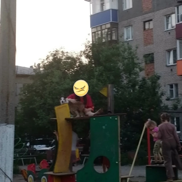 С каких таких пор у нас на детских площадках начали выгуливать собак???Больше мест нету...