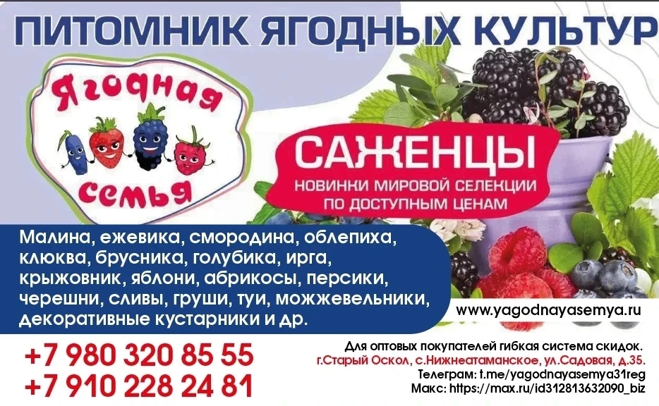 Друзья, и сейчас еще последняя неделя распродажи, успеваем купить растения по очень выг...