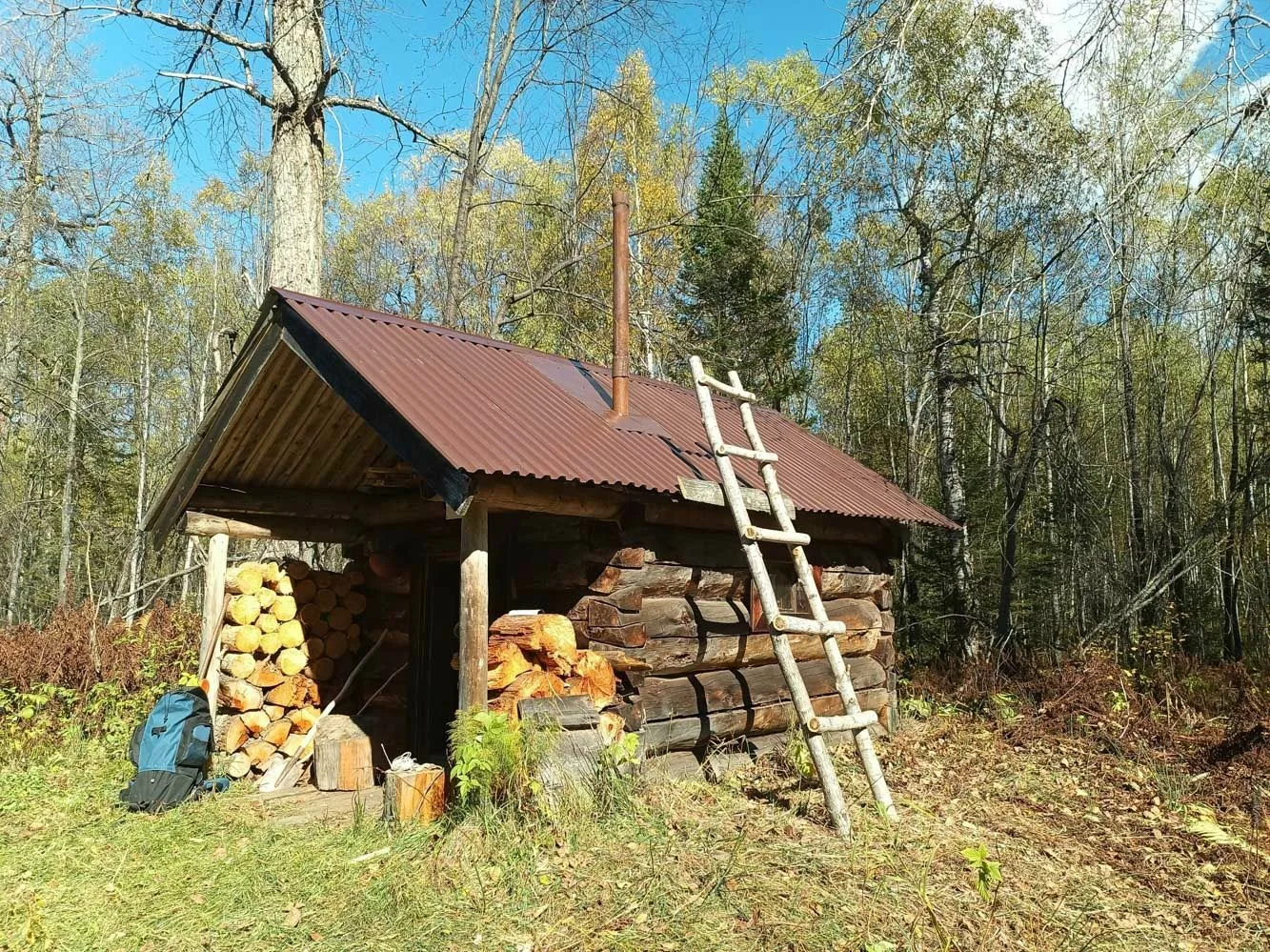 📣Продолжает