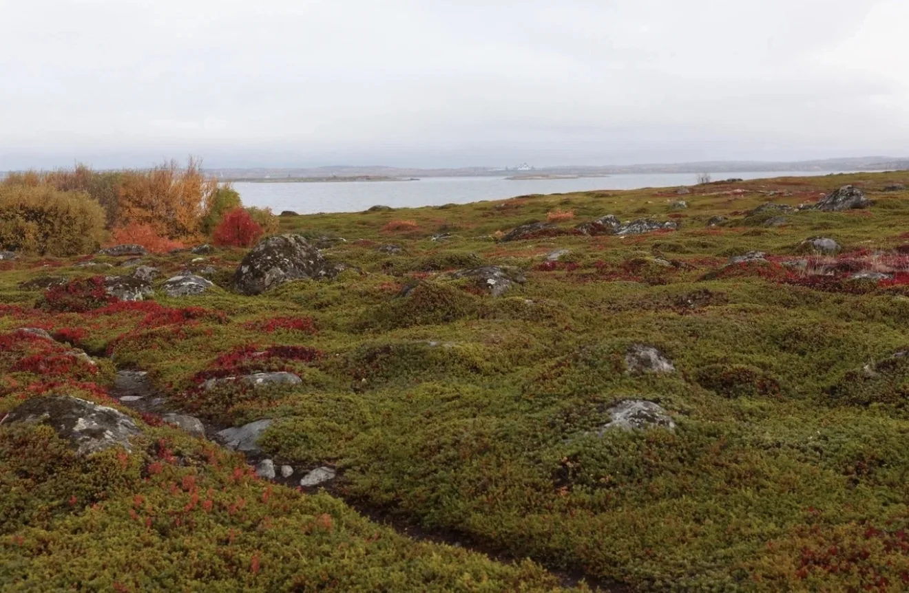 Начало календарной осени и День знаний🍁