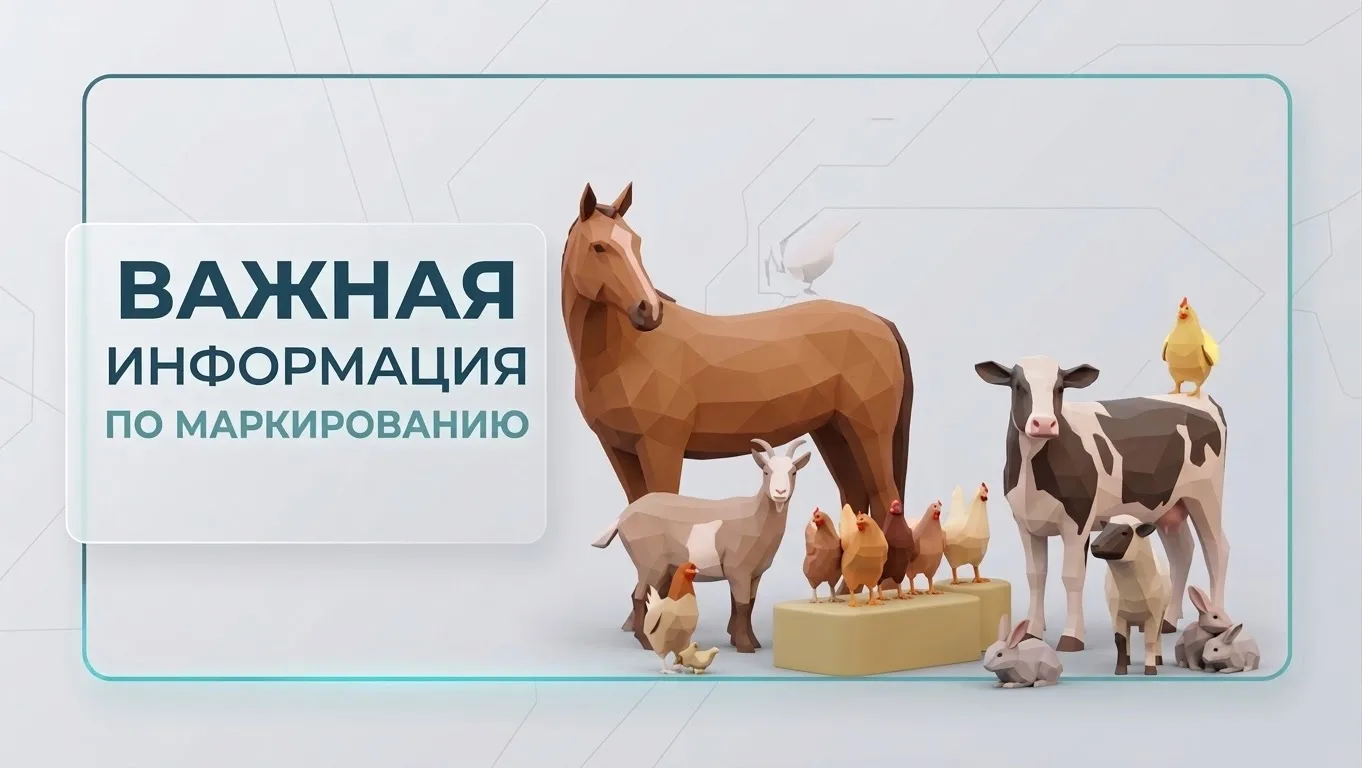 Куры, кролики и закон: разбираемся в новых правилах учета животных 🐔