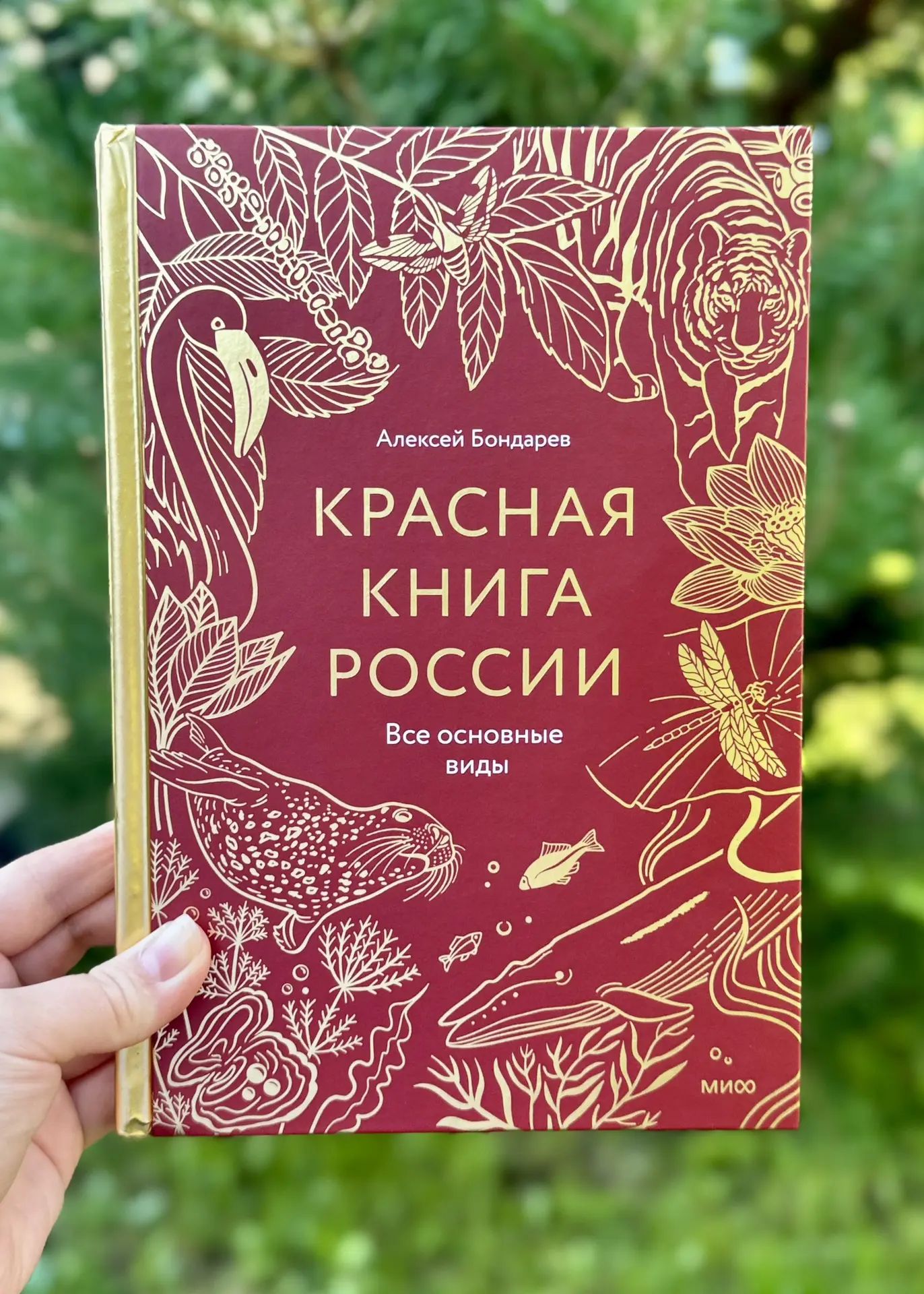 самое интересное, что вопросы становятся всё сложнее 

например, когда мы читаем книги про животных,