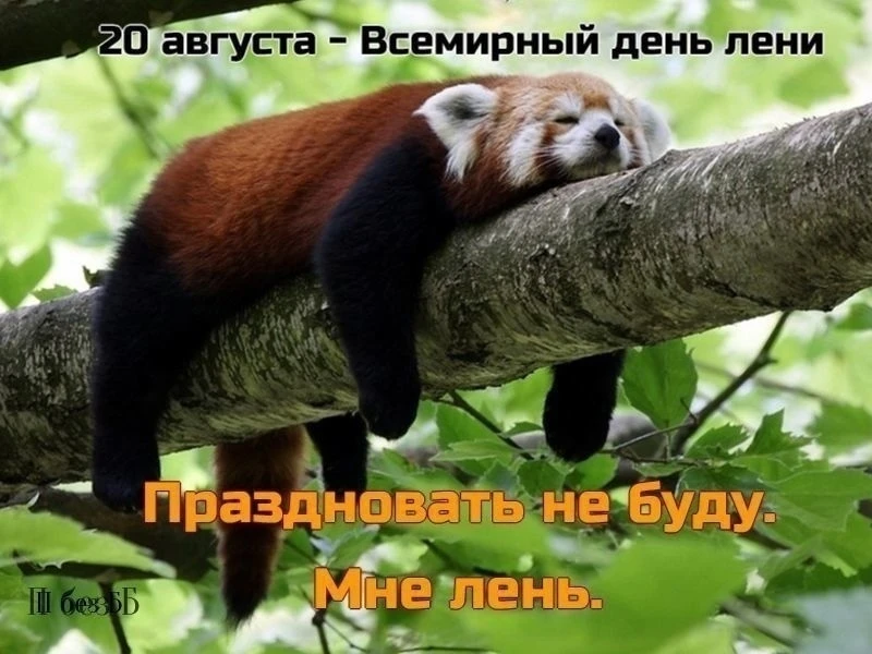 Лень - это лучший из семи смертных грехов, потому что он мешает совершить вам другие ше...
