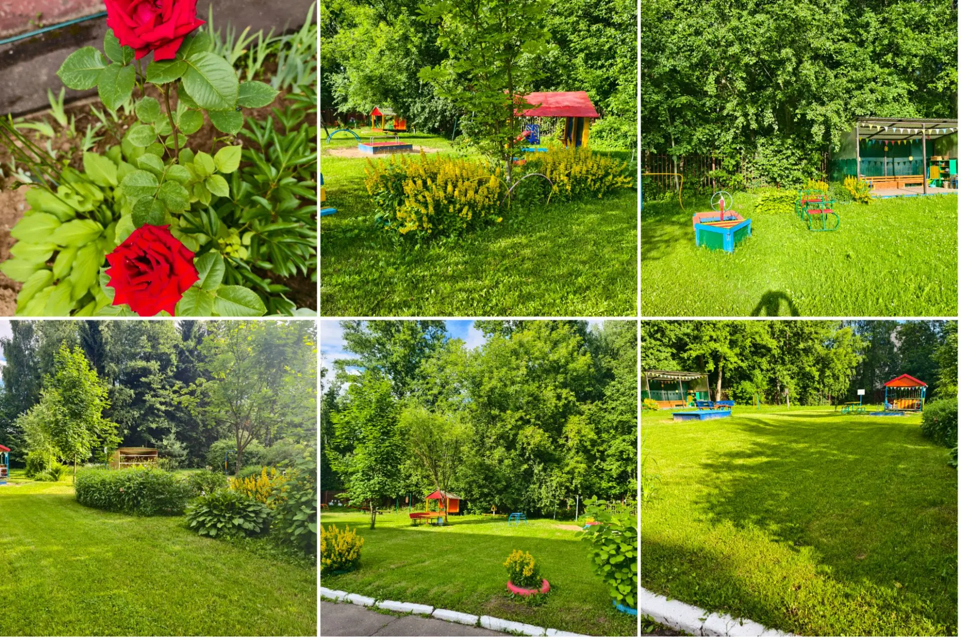 Красота нашего Теремка! 🌳🌹🌺🌲🪻
Детский сад – место, где ребенок развивается, учится и играет. Вы