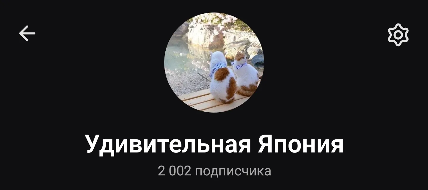 Нас уже более 2000!!! Спасибо каждому кто подписан и заходит смотреть посты. Обещаю и в...