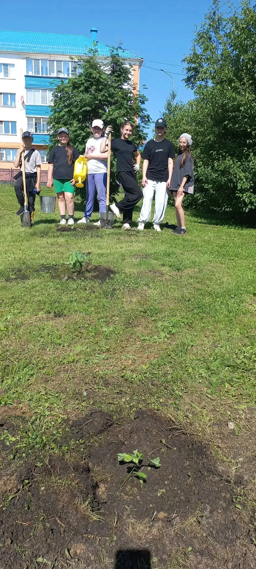 🌳🌿 Продолжается трудовая четверть в нашей школе!  17 июня учащиеся 6 и класса посадили аллею дубко