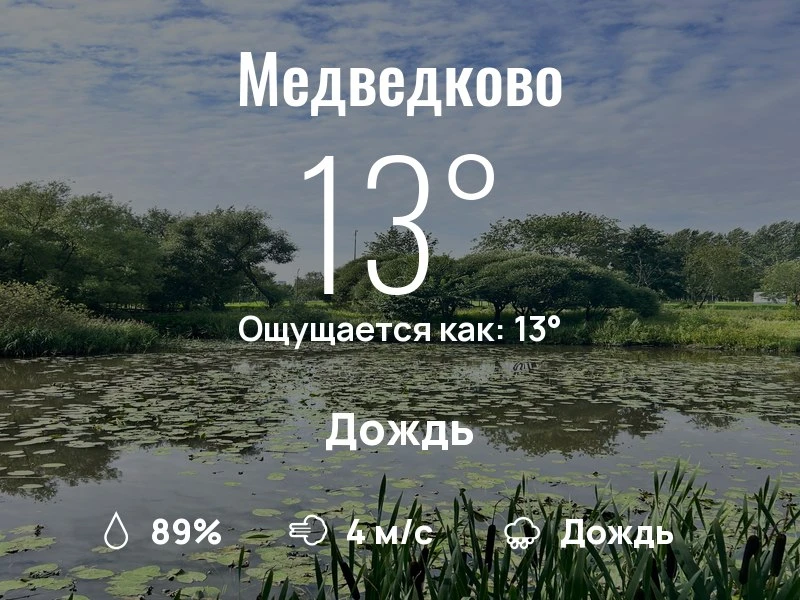 Что с погодой в Медведково?