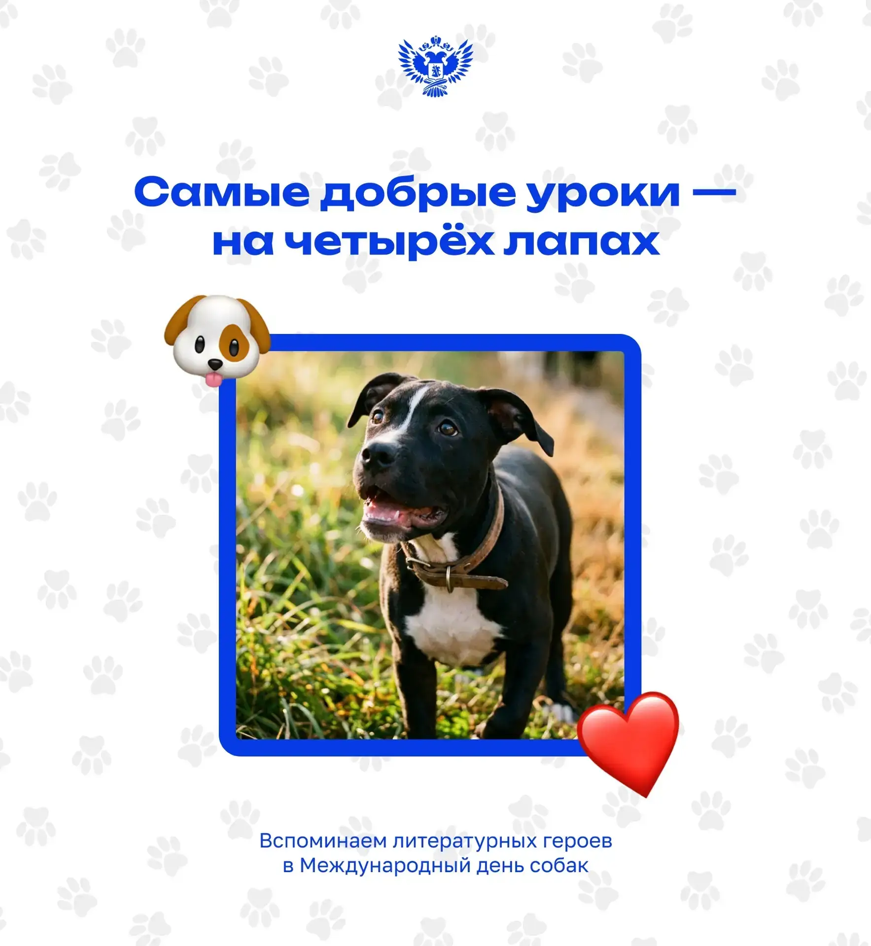 🐕 В Международный день собак вспоминаем не только наших четвероногих друзей, но и самых преданных л