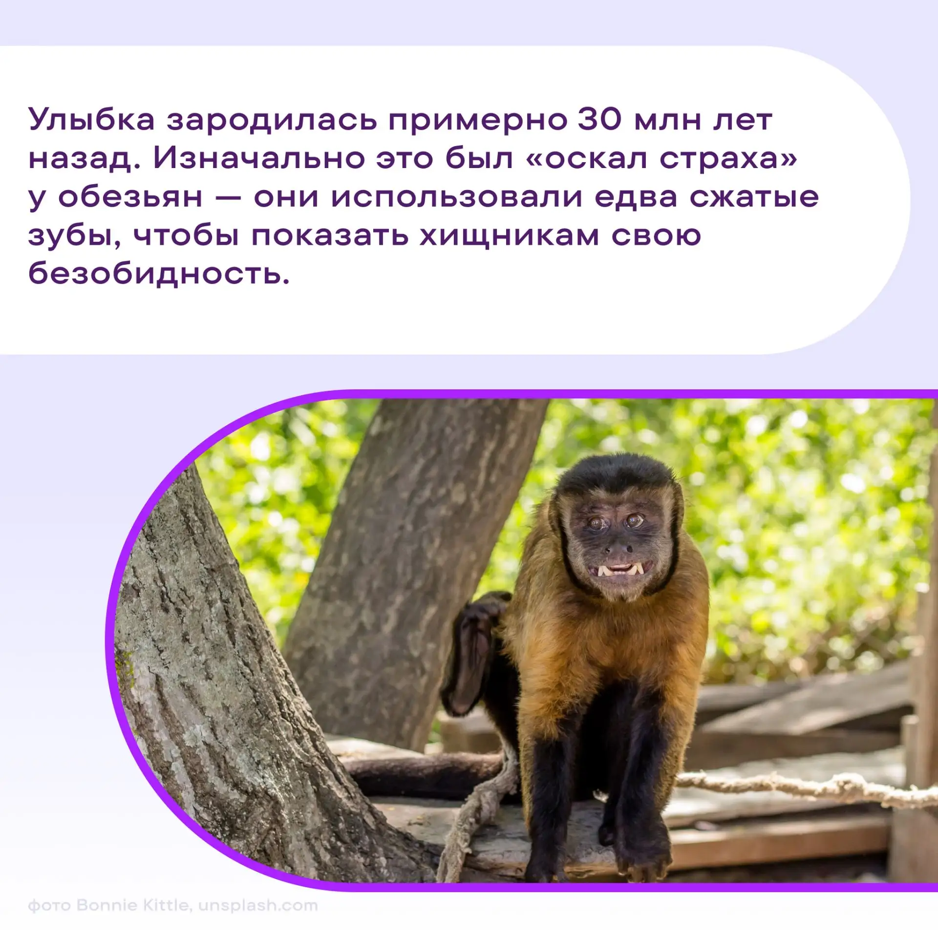 #ПростоФакты об улыбках во Всемирный день улыбок 😁.