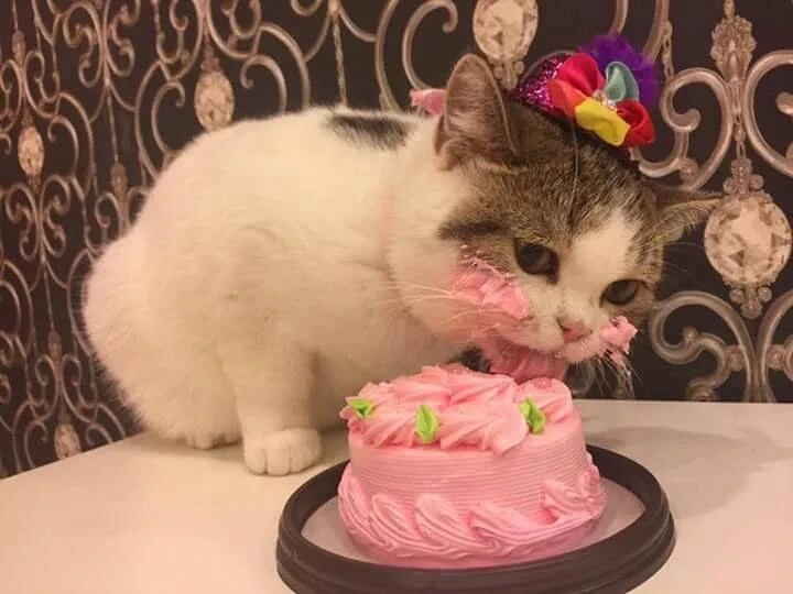 🍰 Сильная тяга к сладкому сигнализирует о депрессии и тревоге