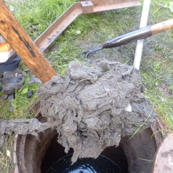🚽 Названы самые «засоряющие» районы Петербурга