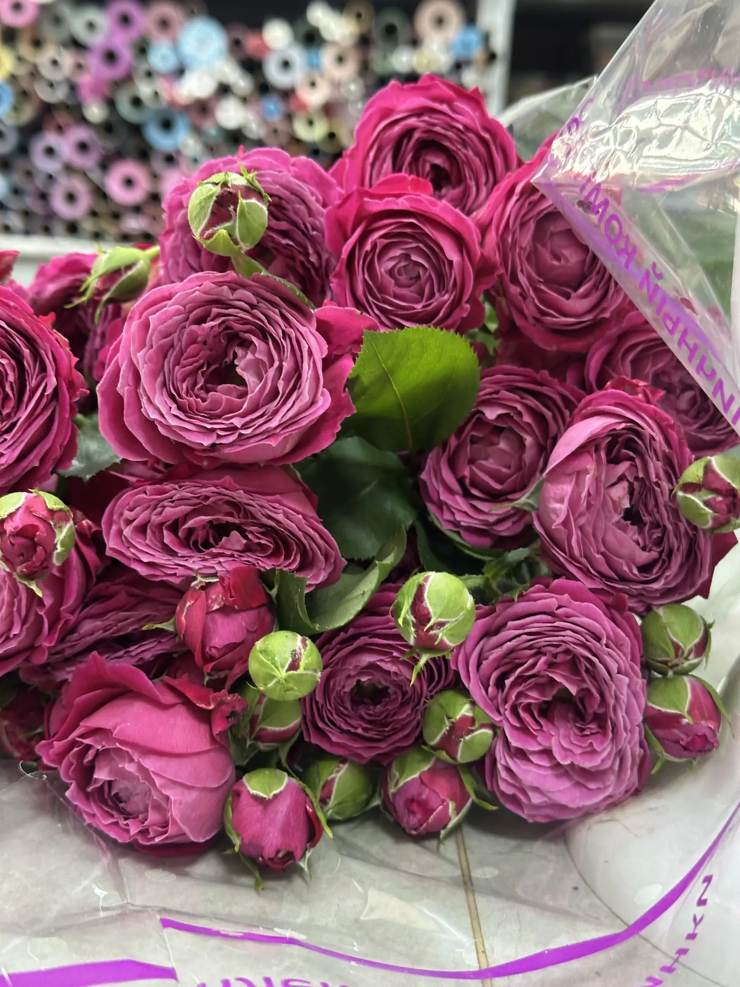 Новая поставка свежих цветов🌸