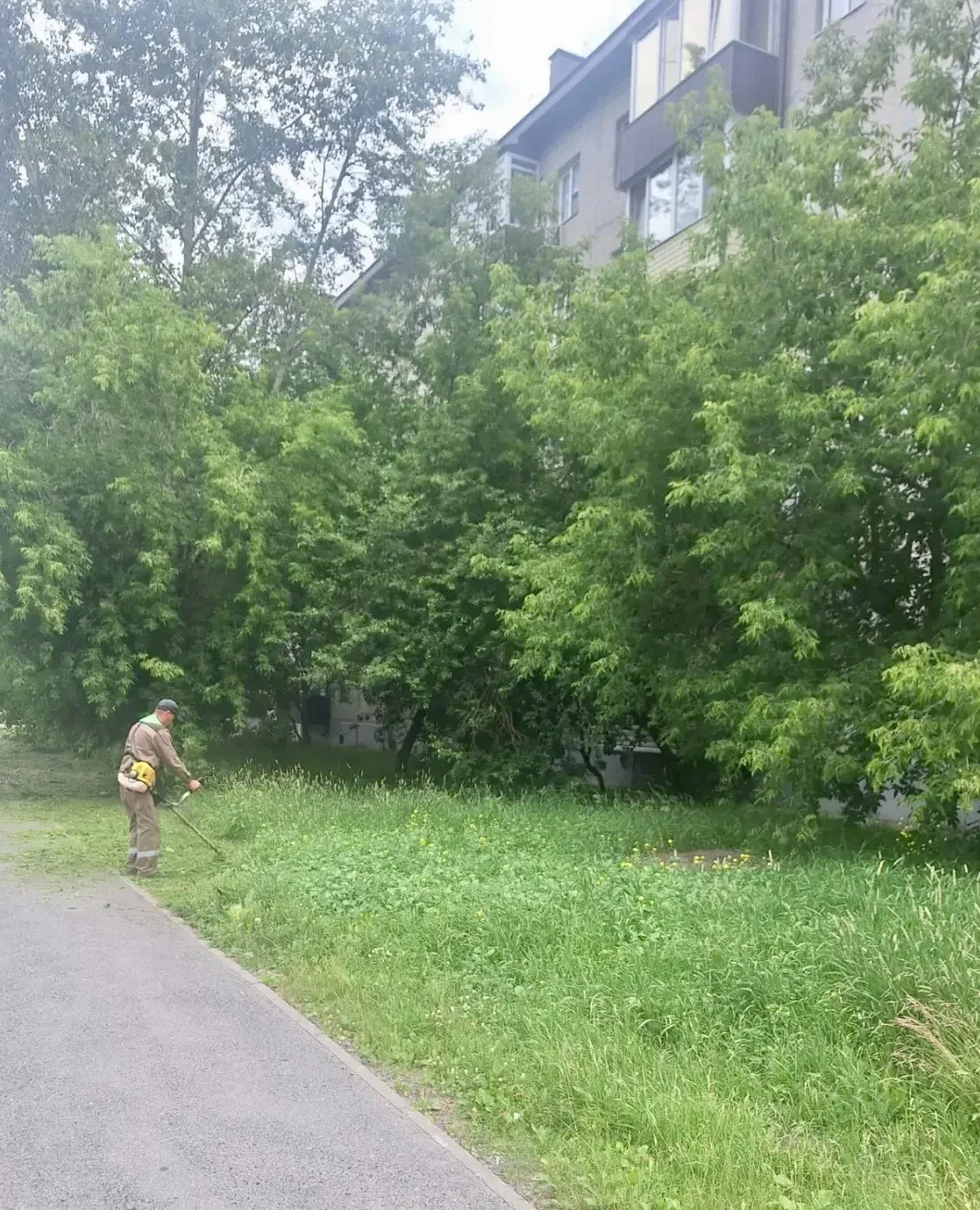 🗓️23.06.2026

✅Продолжаем плановые работы по покосу травы

🏠Жуковского, 80