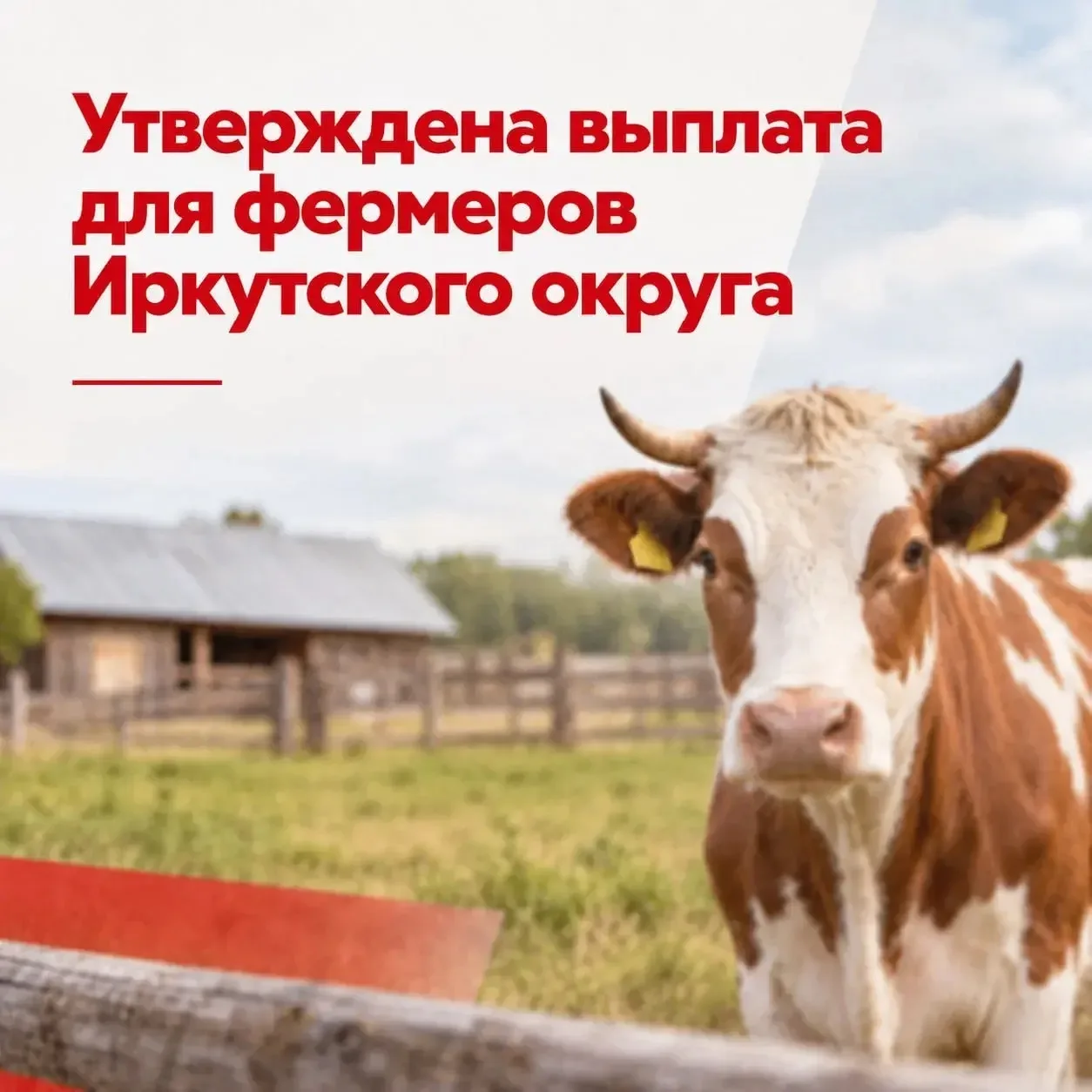 В Иркутской области утвердили размеры компенсаций владельцам фермерских хозяйств, постр...