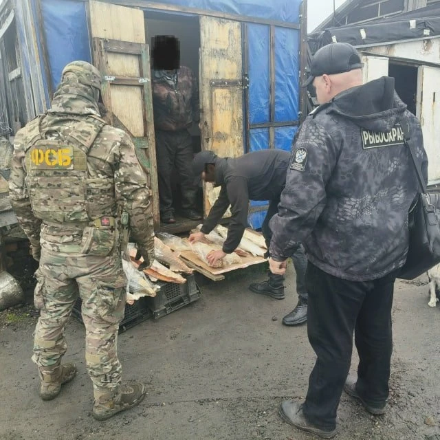 🐟 На Таймыре у браконьера изъяли около 50 кг краснокнижной рыбы