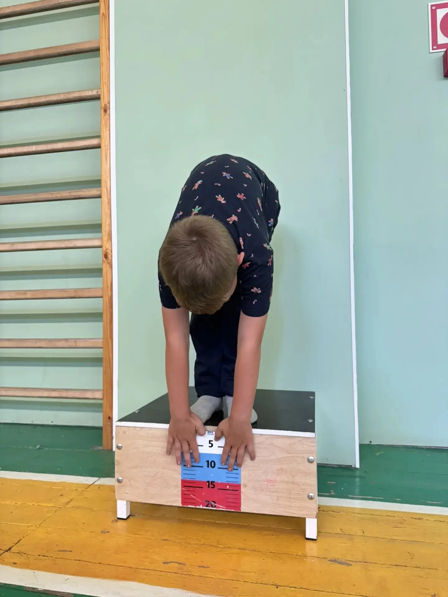 👍Для воспитанников пришкольного лагеря «Капитошка» в селе Александровка провели День здоровья. Глав