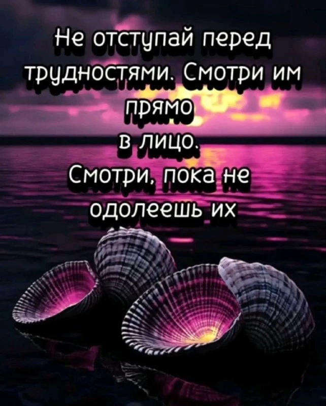 Не отступай перед трудностями. Смотри им прямо в лицо — смотри, пока не одолеешь их 💪