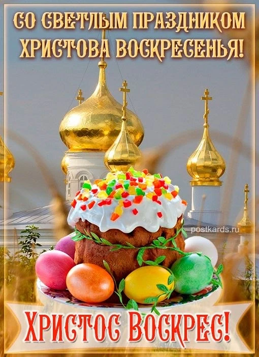 🌸 Дорогие наши участники «Московского долголетия»!