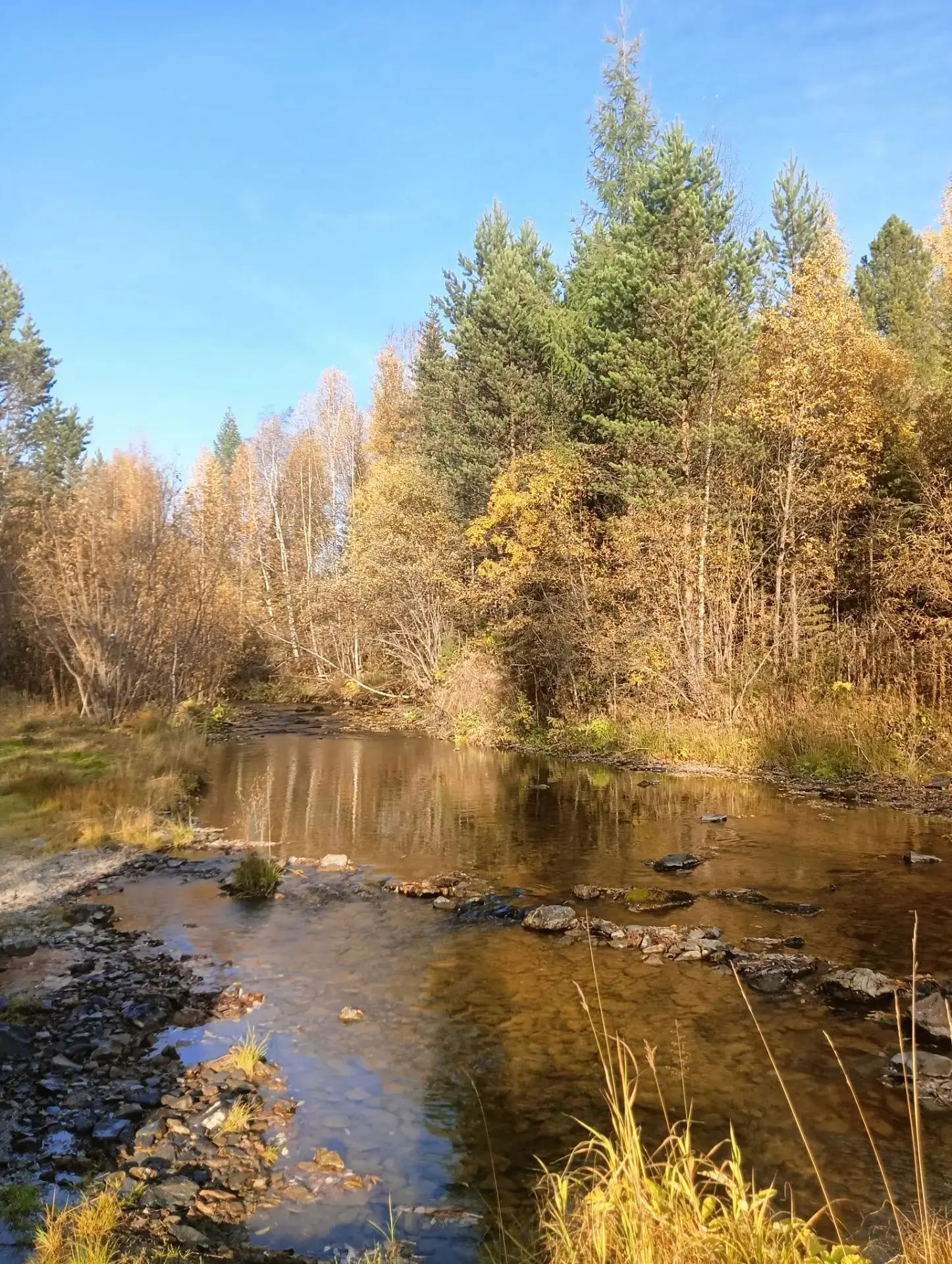 Доброе утро 🍂