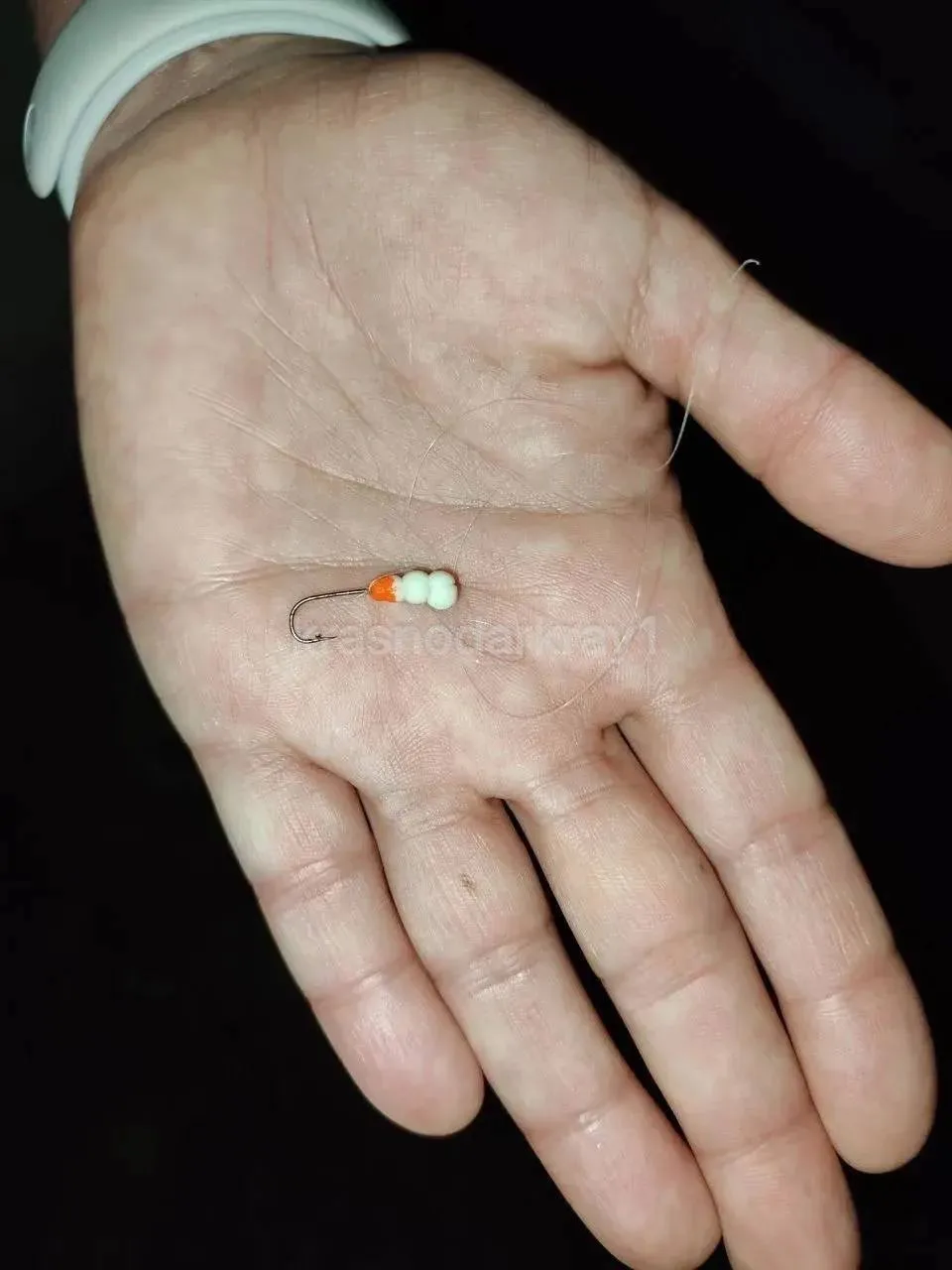 🥹 Чернозобую гагару с рыболовным крючком в лапе спасли в Сочи.  Птицу заметили местные жители — она 
