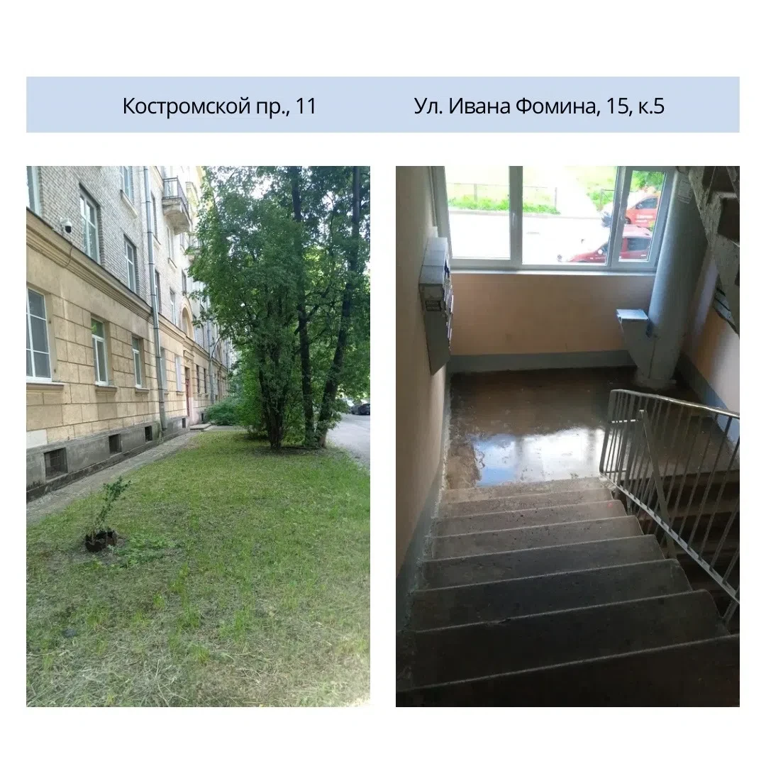 ✅ Поддерживаем чистоту и порядок в доме и на прилегающей территории.

Выполнено:
• мытье окон
• мыть