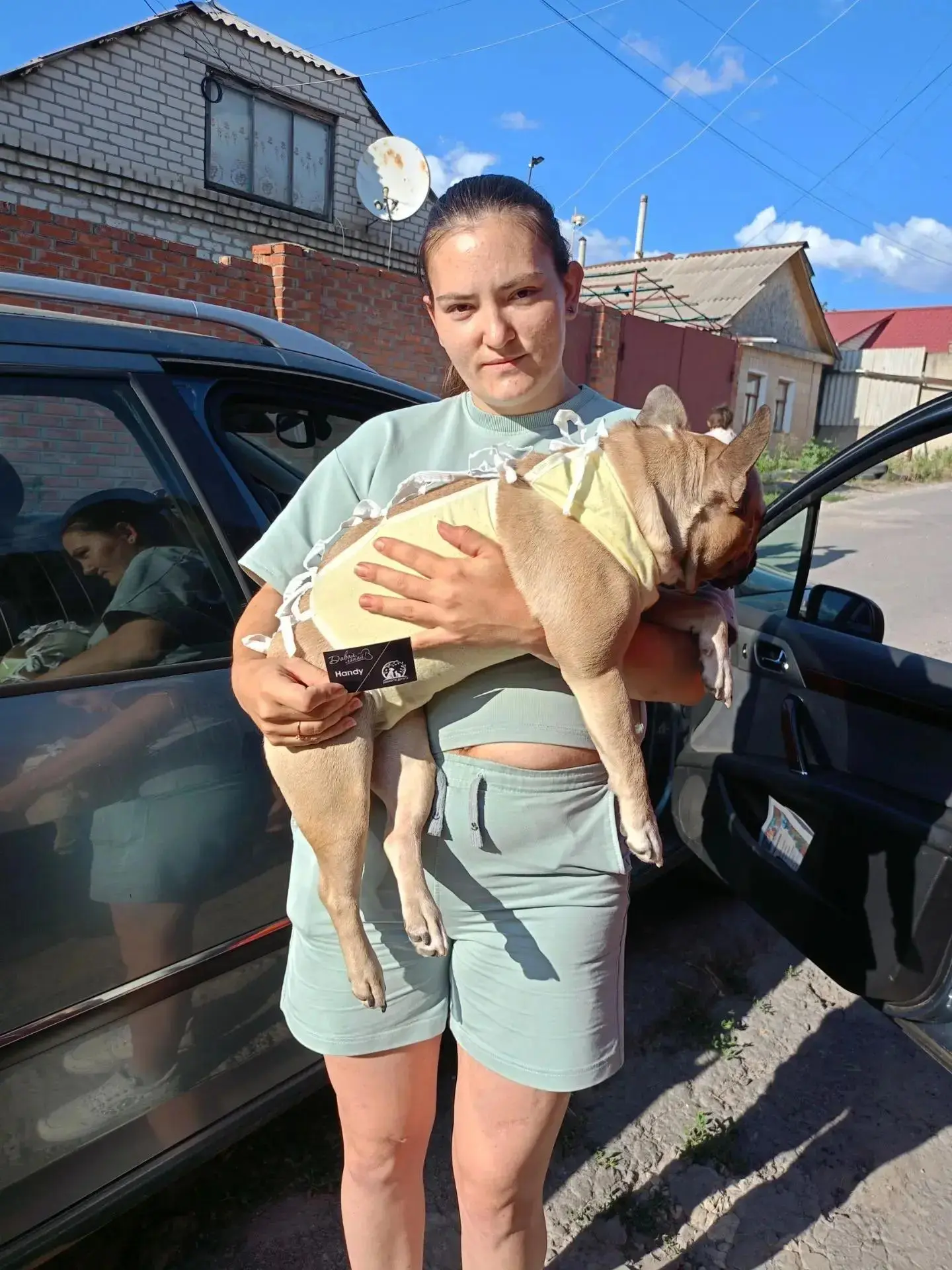 Бульдог Лайма, от которой цинично отказались хозяева, обрела новый дом! 😊 После стерилизации она от