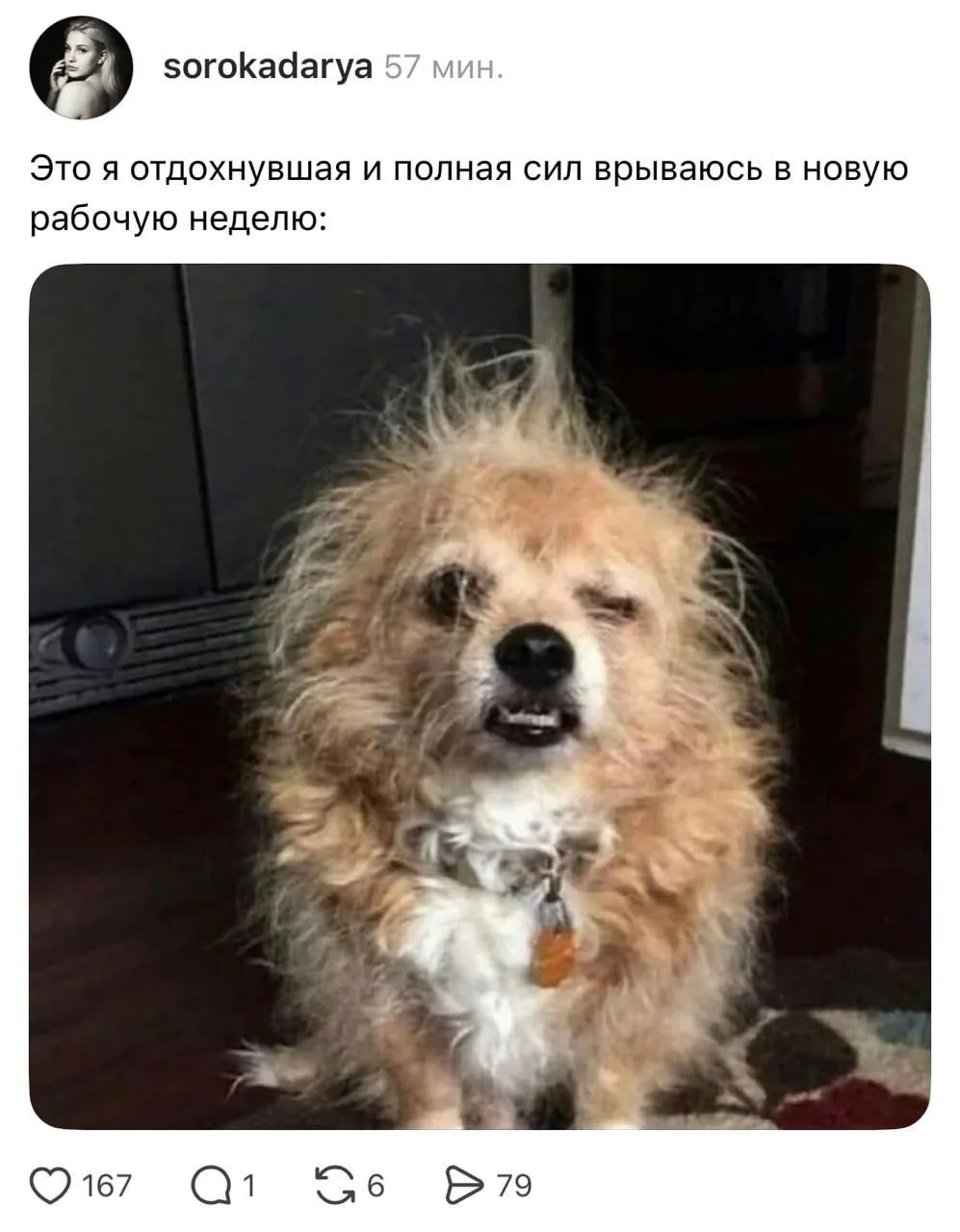 Мы, девочки? 😭