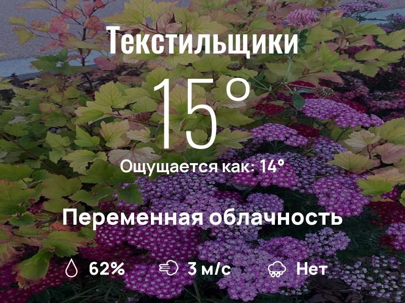 Что с погодой в Текстильщиках?