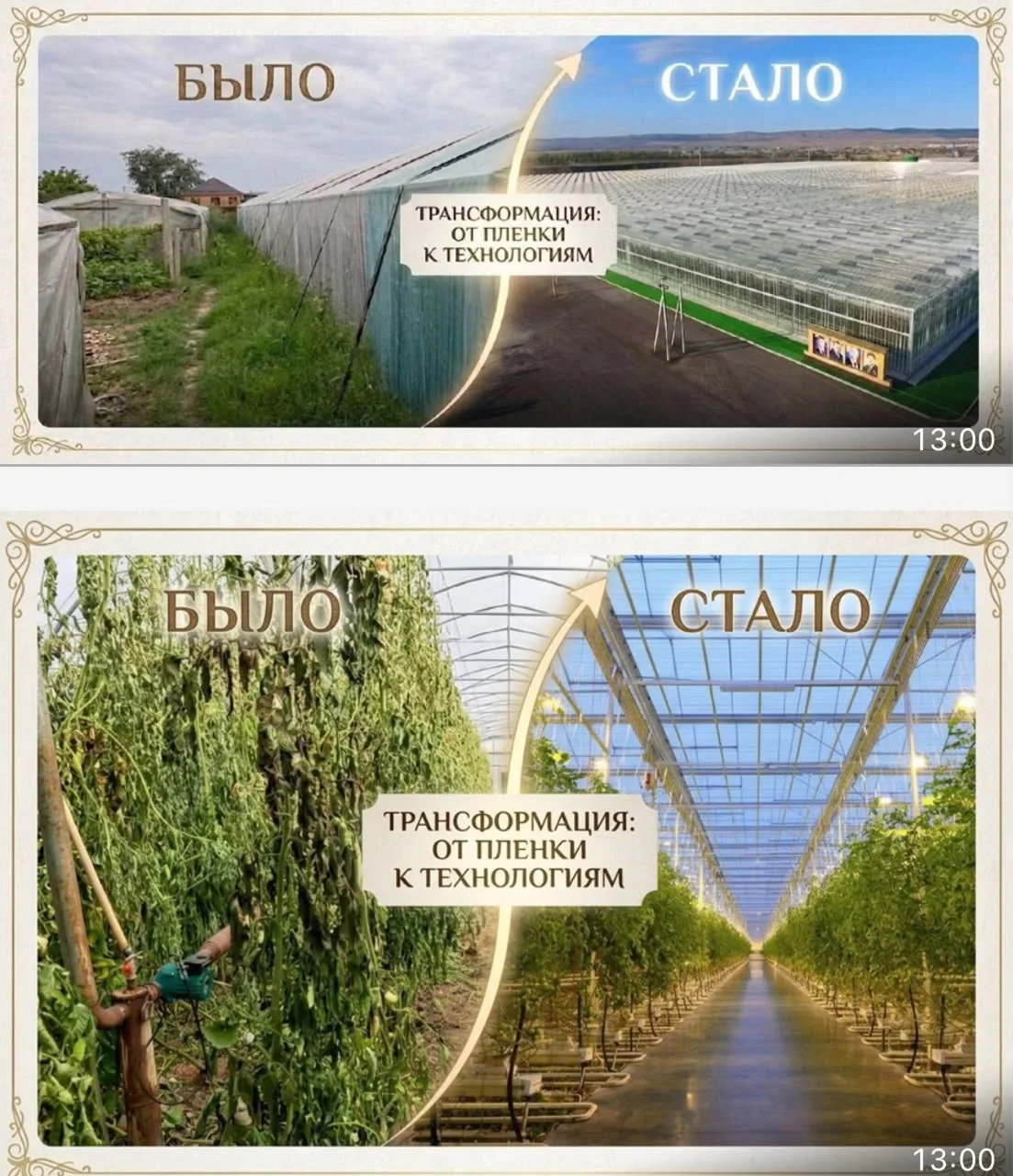 «Я часть агробудущего, потому что внедряю технологии, которые превращают традиционное земледелие в т