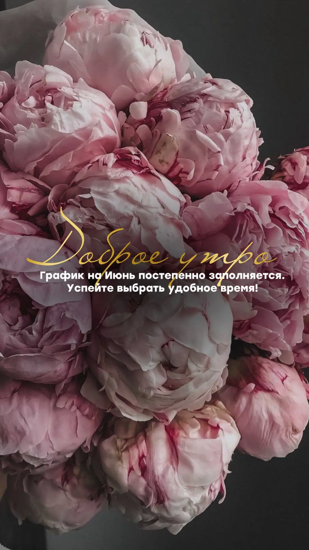 ★ БЬЮТИ КОНТЕНТ В MAX
★ БЬЮТИ КОНТЕНТ В Тг