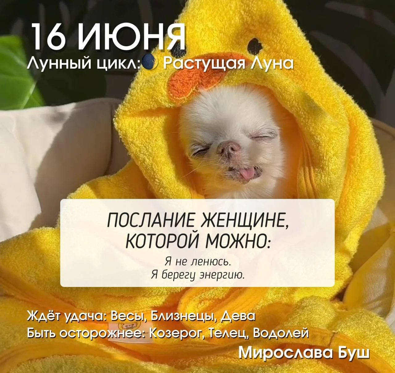 16 июня РЕКОМЕНДАЦИИ 🔥

🌒 Растущая Луна, освещённость около 1–2%.

Первый день после новолуния отк