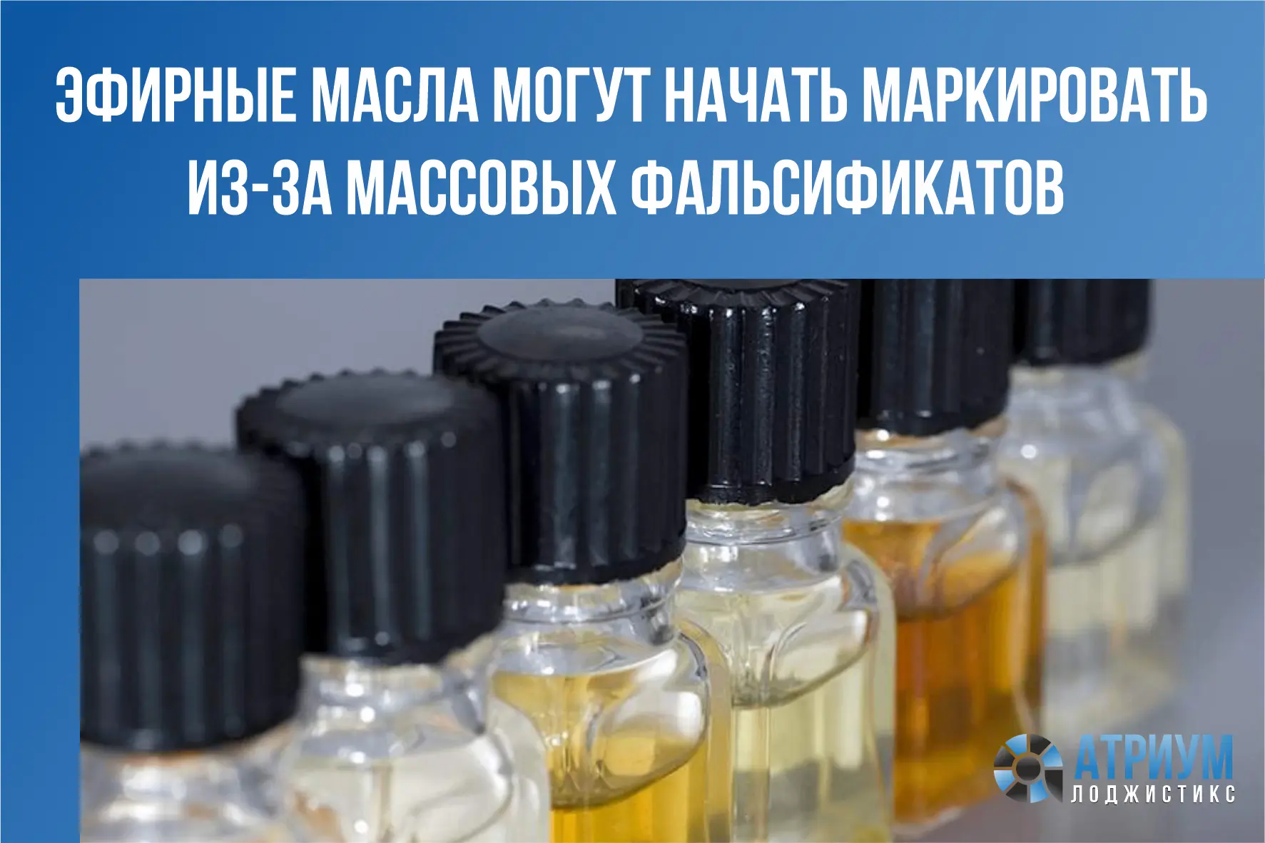 Председатель Национального союза защиты прав потребителей Павел Шапкин обратился к глав...