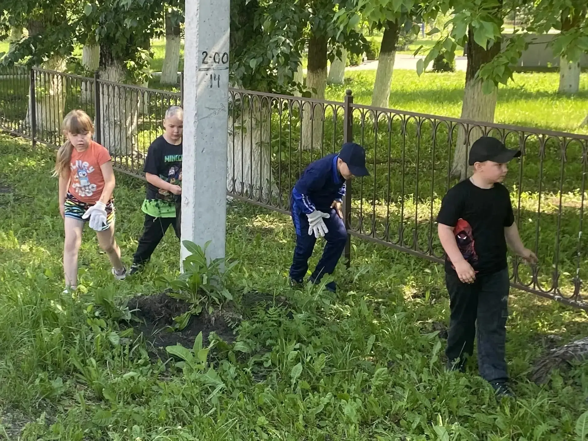 🌍 День эколога с пользой для планеты!