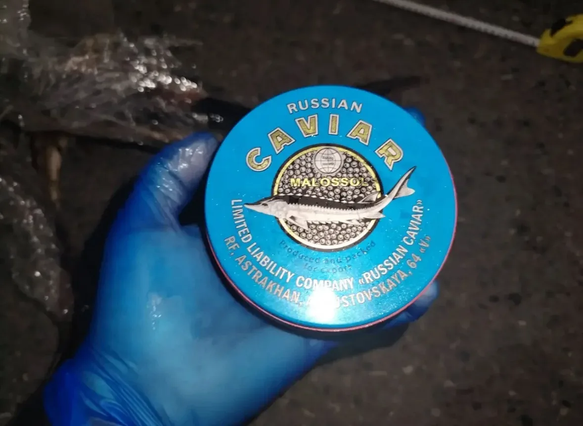 🐟 «Улов на обочине»: полицейские изъяли у астраханца осетра и икру без документов
В Наримановском р