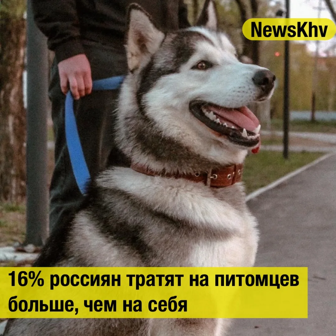 🐾 16% россиян тратят на питомцев больше, чем на себя.