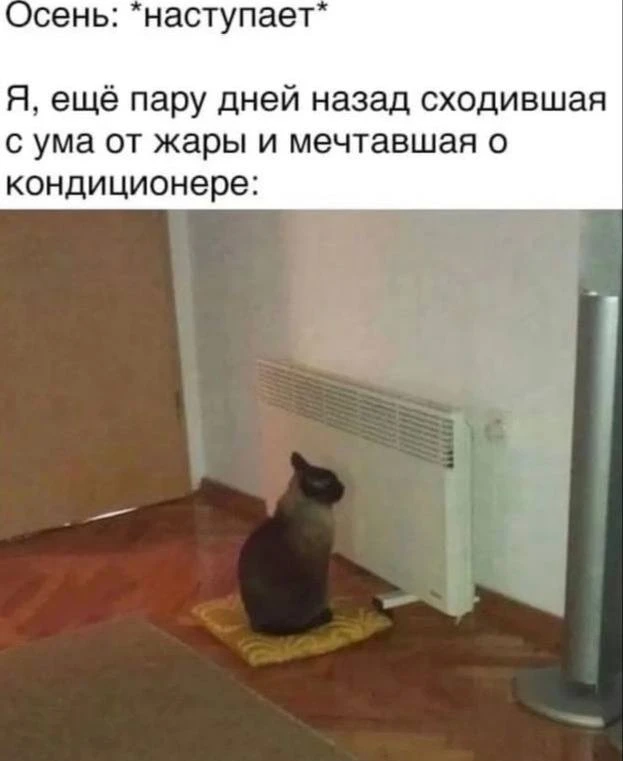Осень уже здесь 🍁