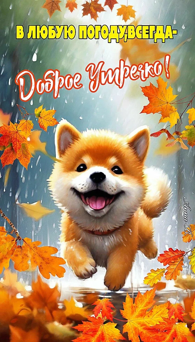 Красивые открытки❤️