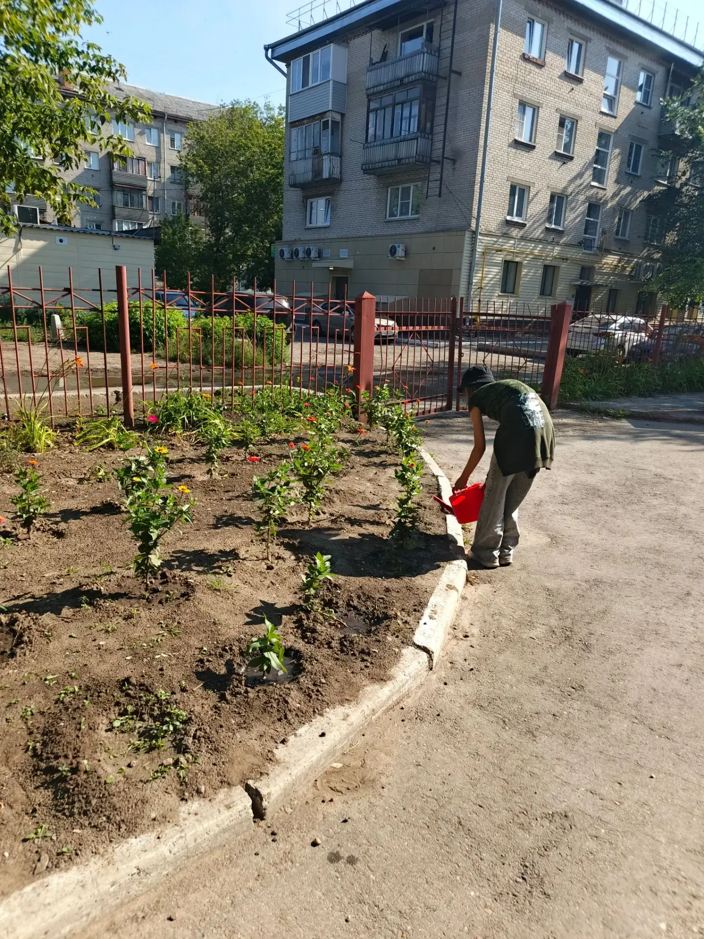 У школы 53 два корпуса. Следовательно, пришкольных участка тоже два. Ребята активно ухаживают за выс