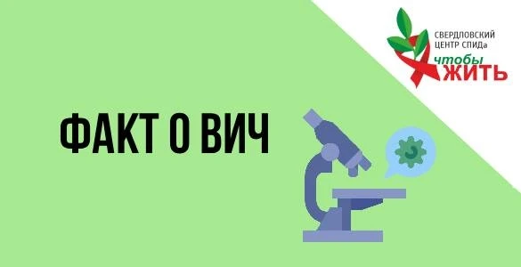 🧬🤯 Интересный факт о ВИЧ
Как думаете, сколько вирусов может жить в одной клетке?

Если речь иде