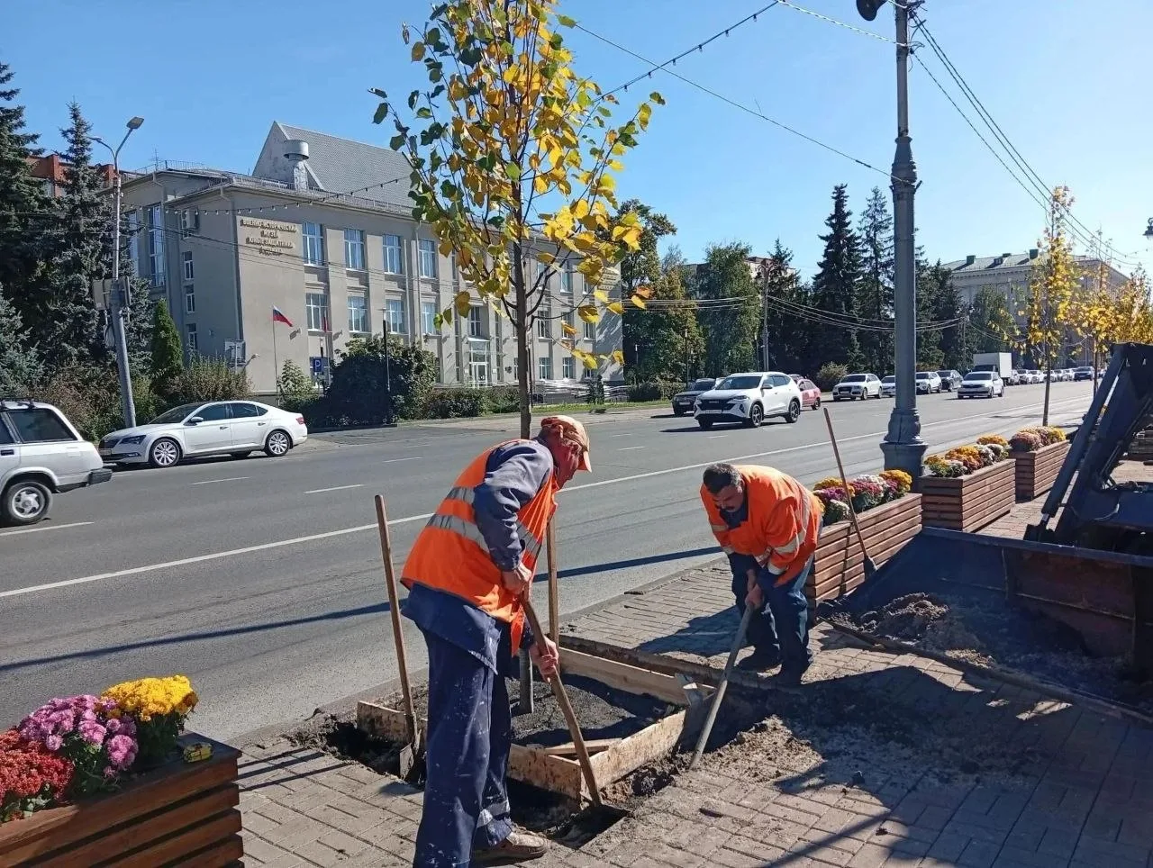 На Ленина по всей улице высаживают липы из кашпо.