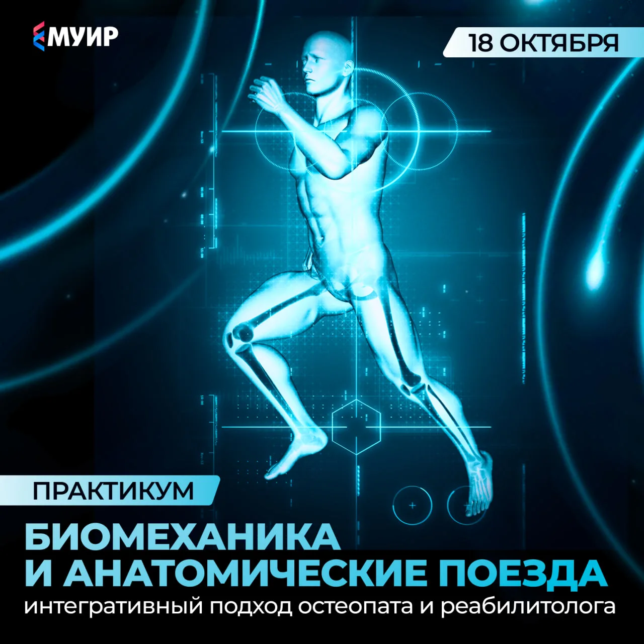 🧬 От архитектоники тела пациента зависит алгоритм и скорость его восстановления.