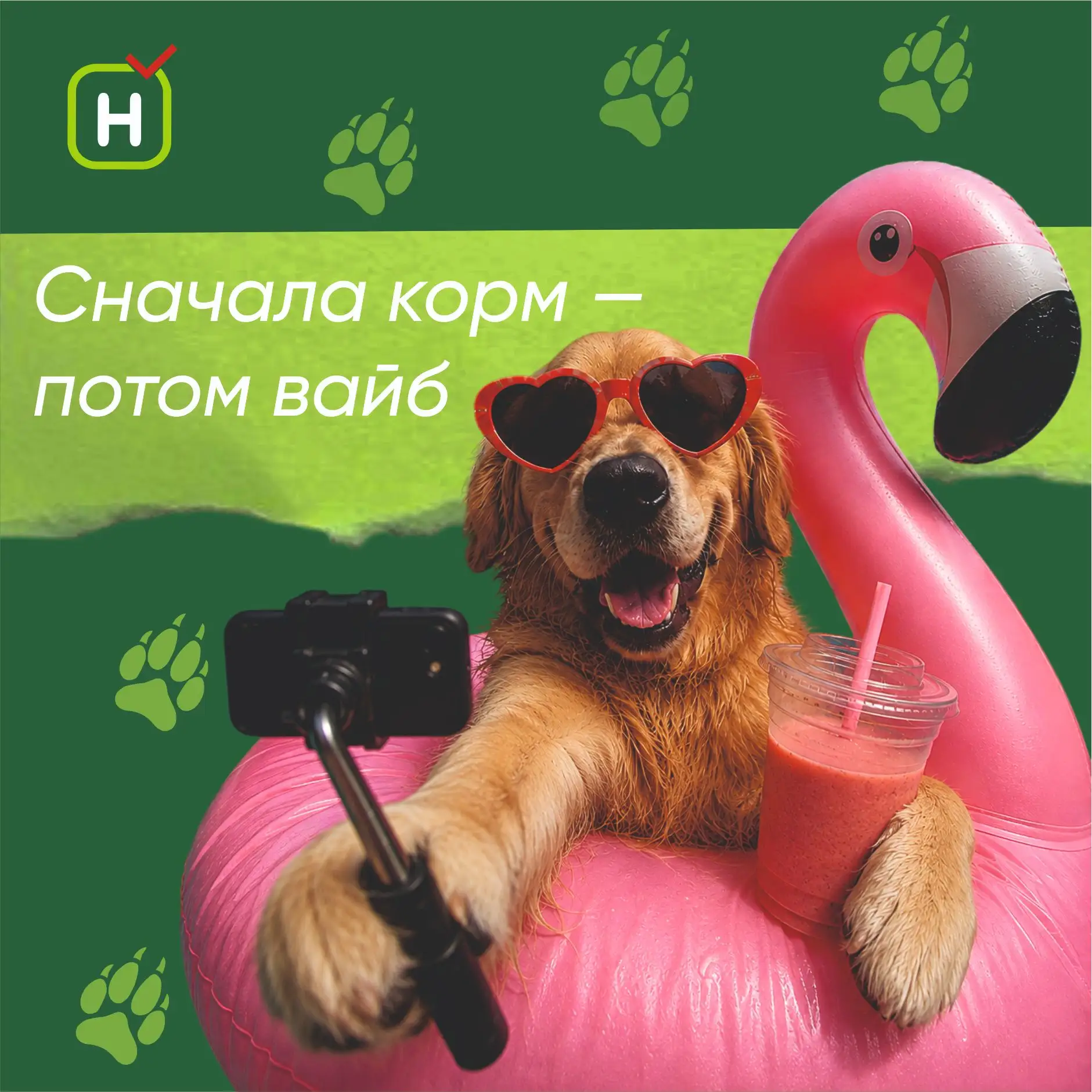 Сегодня Всемирный день собак! 🐾